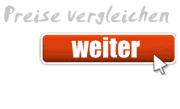 Gitarrenhalter kaufen