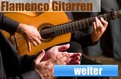 Flamenco Gitarre kaufen